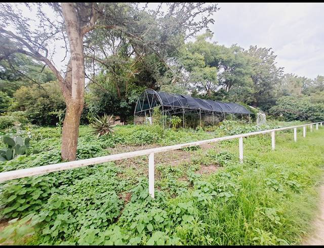 3 BEDROOM EQUESTRIAN PROPERTY FOR SALE IN BLUE HILLS